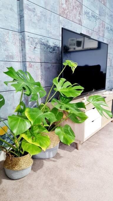 Stylish 2 Bedroom Apartment / Free Gated Parking Γλασκώβη Εξωτερικό φωτογραφία